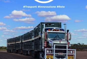 Numero 290, Marzo 2026